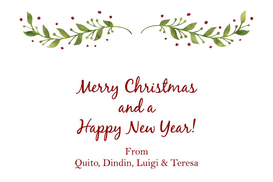 Cristina CHRISTMAS Personalized Gift Cards 3 (2024)