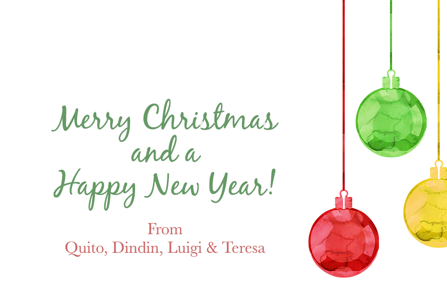 Cristina CHRISTMAS Personalized Gift Tags 3 (2024)