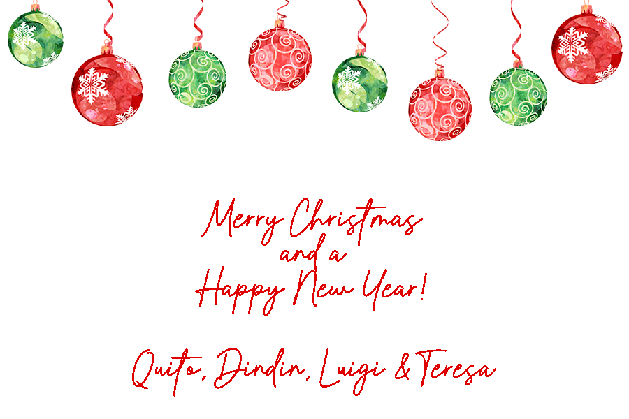 Cristina CHRISTMAS Personalized Gift Tags 4 (2025)