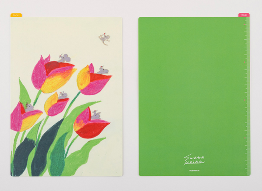 Hobonichi Pencil Board Keiko Shibata