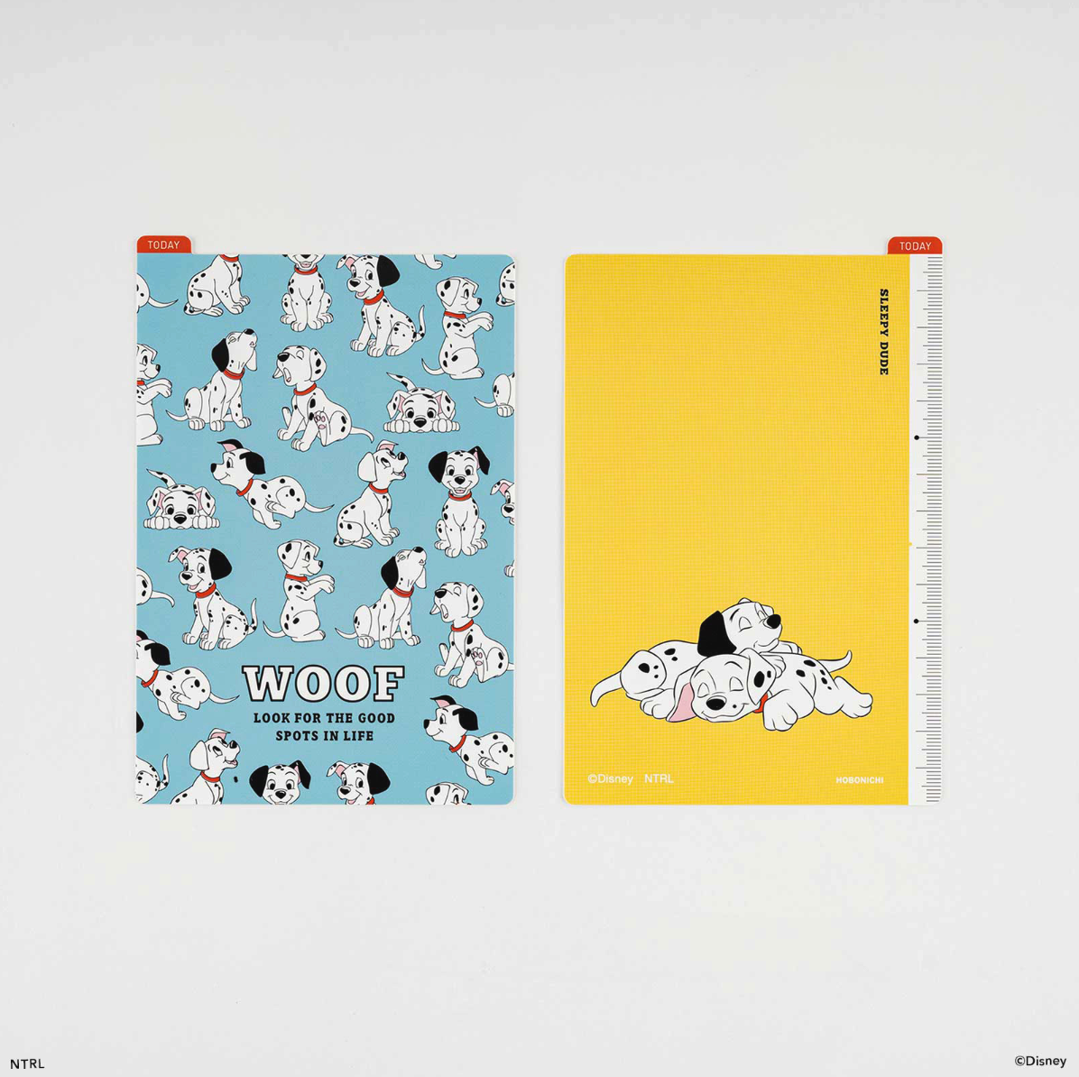 Hobonichi Pencil Board 101 Dalmatians