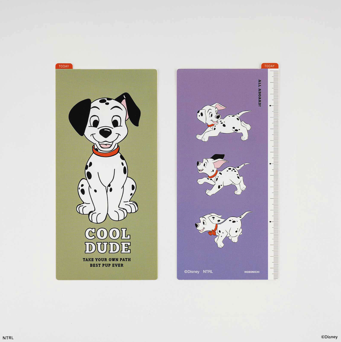 Hobonichi Pencil Board 101 Dalmatians