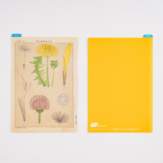 Hobonichi Pencil Board Tomitaro Makino